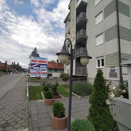 Apartmani - Vila Kovilje Banja Koviljača Exterior foto