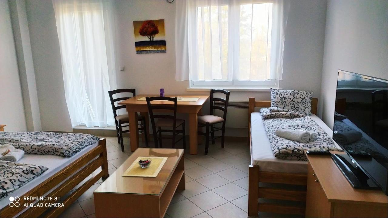 Apartmani - Vila Kovilje Banja Koviljača Exterior foto
