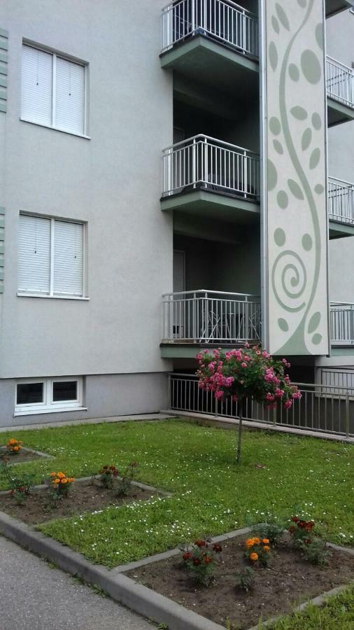 Apartmani - Vila Kovilje Banja Koviljača Exterior foto